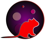 WordPress for Multimediedesignere